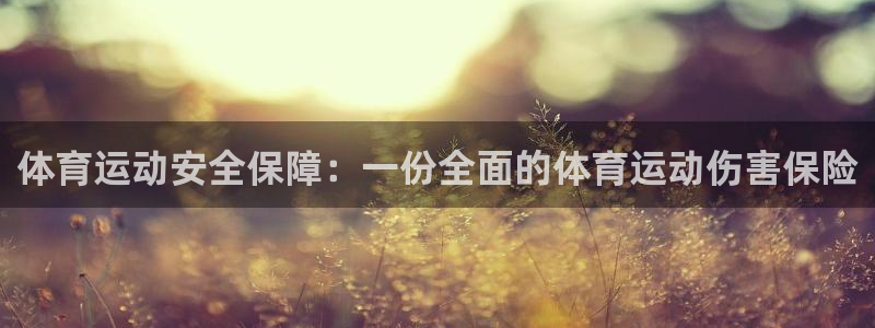 熊猫体育公园