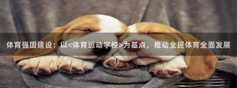 熊猫体育nba