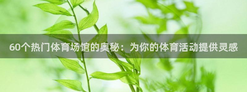 熊猫体育网址