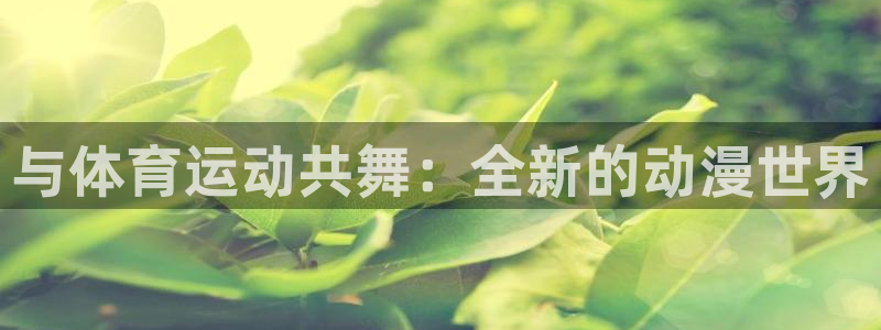 熊猫体育公园价格
