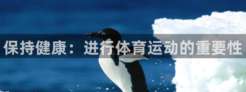 熊猫体育直播nba