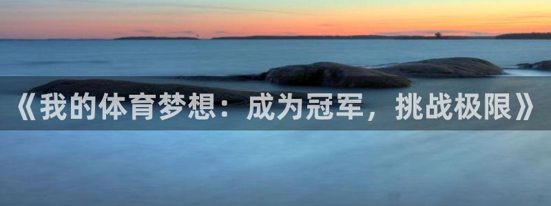 熊猫体育公园