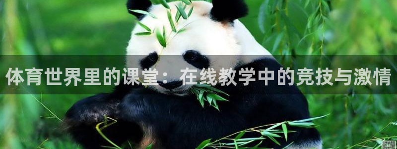 熊猫体育官方网站