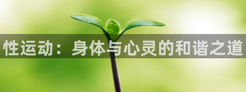 熊猫体育公园